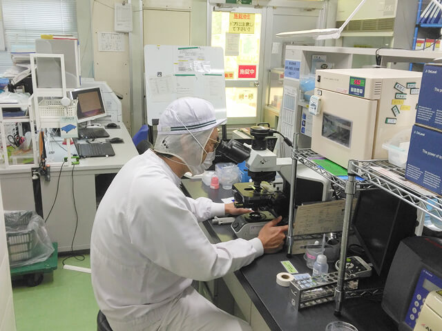 品質管理部仕事風景